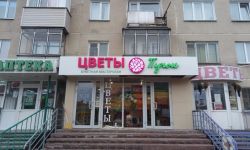 Новосибирская область Главная 33